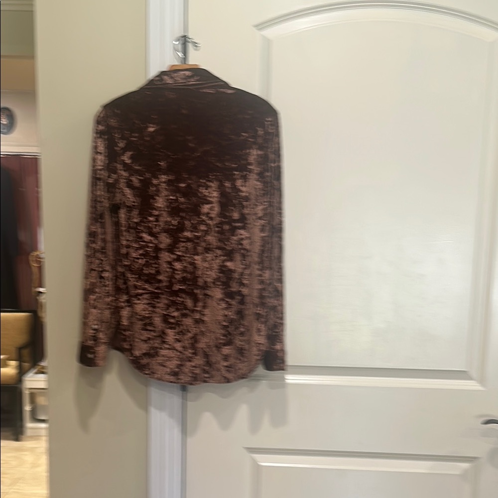Elegant Velvet Brown Blouse - Picture 4 of 7